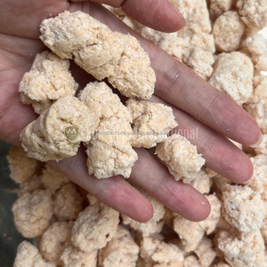 COPRA CAKE Animal Feed | Proteína de coco en bolsas para uso agrícola de Vietnam - Product Image 4