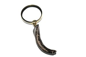 Loupe en laiton antique avec poignée en corne naturelle, décoration de bureau vintage, loupe de lecture - Product Image 4