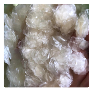 Nouveauté 2026 Écailles de poisson de qualité supérieure Fournisseur Vietnamien - Product Image 6