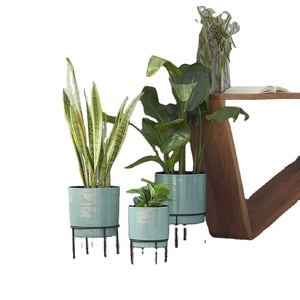 Macetas y macetas de excelente calidad, acabado decorativo para decoración de hogar y boda, macetas de Metal, decoración de plantas verdes - Product Image 1