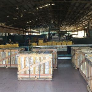 High Quality NGOC CHAU SVR3L Natural Raw Latex Rubber Molding Grade Sheet Powder Food & Medical Grade Material Vietnam Factory - Product Image 5