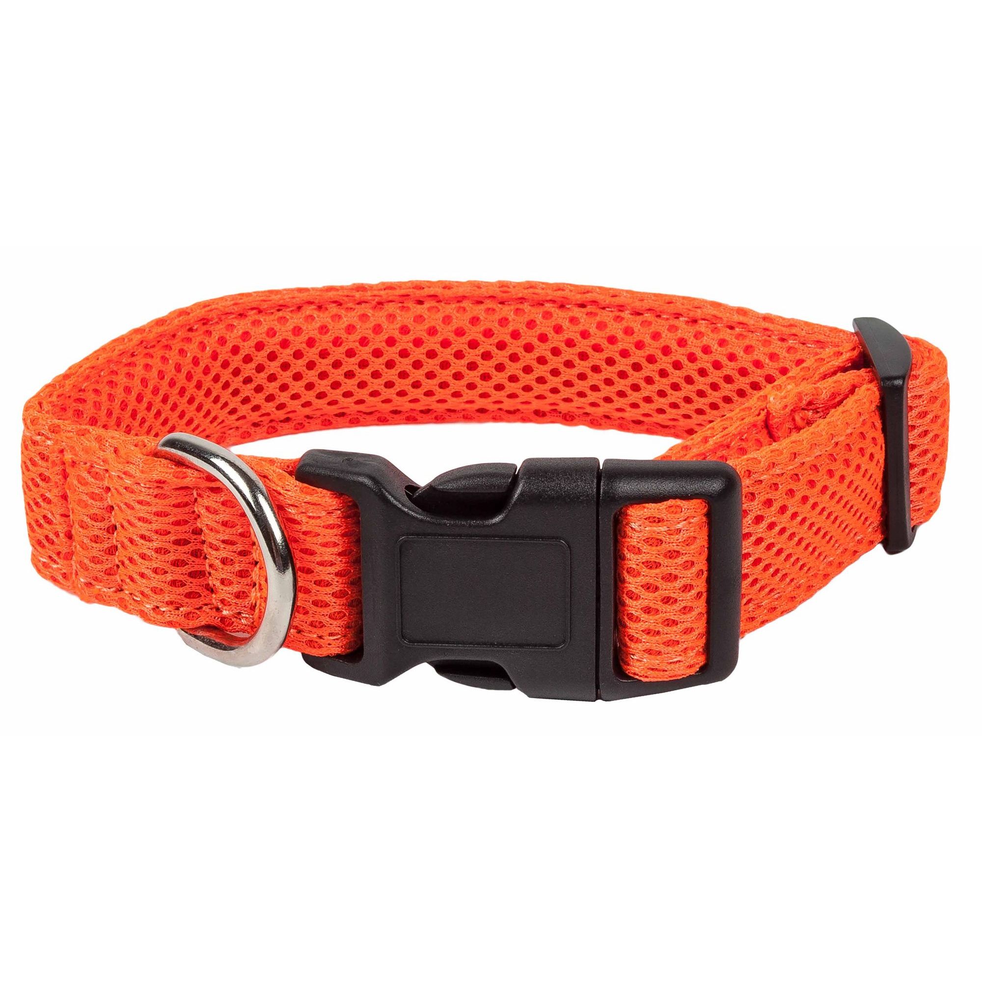 Orange Color