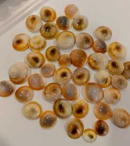 Cabochon en coquille d'œil de Shiva naturelle en gros, cristal de guérison, bijoux Reiki, poli, taille brillante, blanc, en vrac, directement de l'usine - Product Image 4