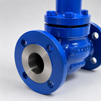 Válvula de Protección Contra Sobrepresión de Tuberías, Autoaccionada, Control Hidráulico, Conexión con Brida DN25, OEM, Suministro de Agua Municipal