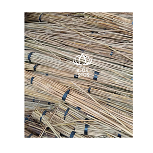 TENDANCES : Matériaux en rotin naturel écologiques pour la décoration intérieure et l'artisanat - Product Image 1