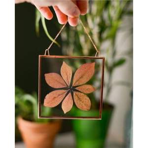 Nordic Style Hanging Metal Glass Photo <b>Frame</b> Transparent <b>Floating</b> <b>Frame</b> Specimen Herbarium Display Creative Wall <b>Picture</b> <b>Frame</b> - Product Image 1