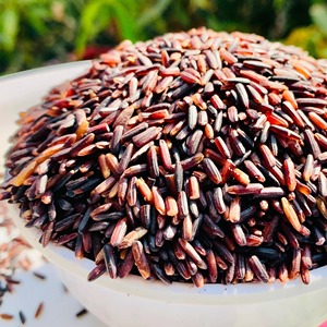 Arroz Negro Premium de Alta Calidad, Arroz Integral Natural para la Industria Alimentaria y Suministro Global de Exportación - Product Image 4
