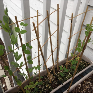 Arche de treillis de jardin en bambou vietnamien en gros, treillis en forme d'éventail pour plantes grimpantes - Prix B2B - Product Image 4