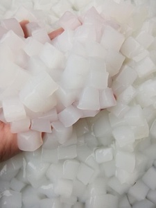 Gelée de noix de coco Nata de Coco du Vietnam en cubes dans le sirop, vente en gros pour les desserts au bubble tea et la fabrication alimentaire - Mme Tarina - Product Image 6