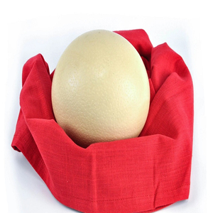 Fournisseur fiable d'œufs d'autruche frais de qualité supérieure et de grande taille - Product Image 6