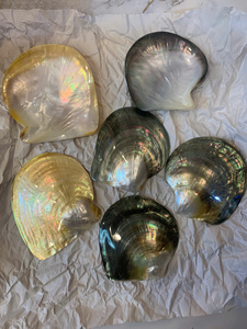 Natural Mother of Pearl Plate Vietnam Handmade Shell Material for Jewelry Storage Serving Decor Polished Use - Product Image 6