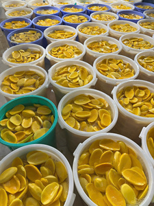 Proveedor de Mango Deshidratado en Rodajas, 100% Natural, Sabor Dulce, Envasado al Vacío, Precio Económico, Alta Calidad, Exportación desde Vietnam - Product Image 6