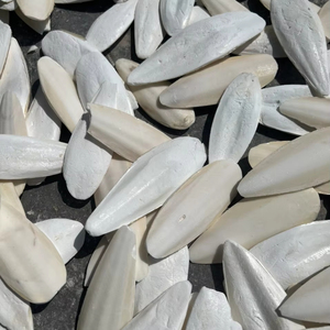 Huesos de sepia Campana colgante Suplementos de calcio Pet Parrot Molars Toys // Ms. Lima - Product Image 1