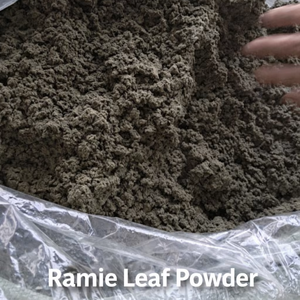 Polvo de Hoja de Ramie para Pasteles y Dumplings Tradicionales, Bolsa con Cierre de 100g, Fabricante y Proveedor de Vietnam, 1 ANGLE - Product Image 1