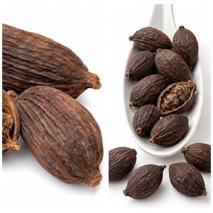 Vietnam Manufacturer Supply Delicious ISO Certificated Best Selling Best Rate Black Cardamom 25kg/carton - Product Image 5