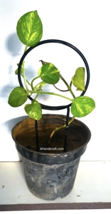 Enrejado de Acero para Jardín y Hogar, Moderno, Ecológico, Económico, con Recubrimiento en Polvo, Certificado a Prueba de Roedores, Soporte para Modelos 3D - Product Image 2