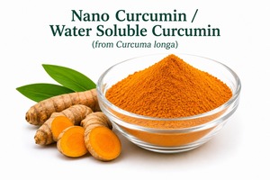 นาโนเคอร์คูมิน ผงสกัดเคอร์คูมินละลายน้ำได้จากขมิ้นชัน (Curcuma Longa) สำหรับนาโนเคอร์คูมิน 20% - Product Image 2