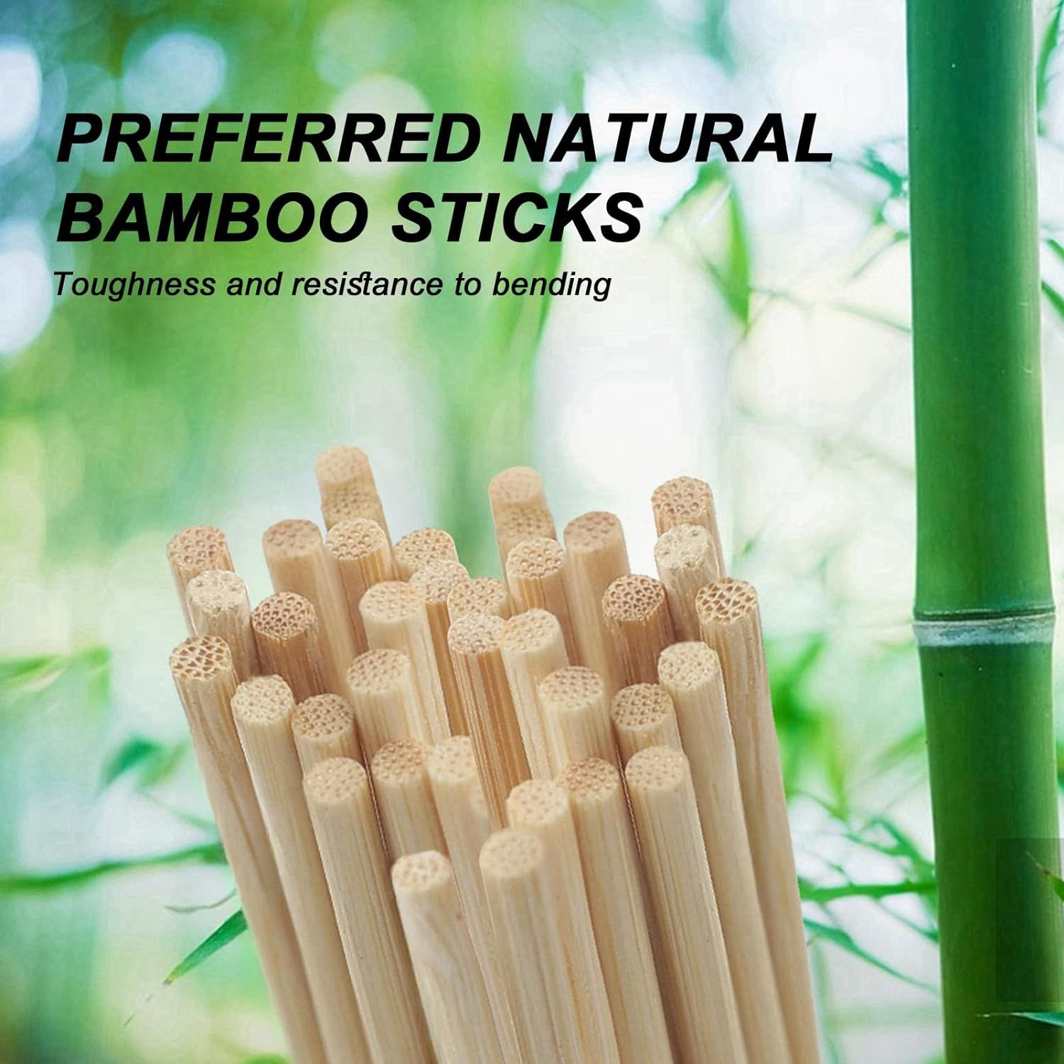 Bamboo Color