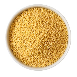 High Quality White Non-Glutinous <b>Floured</b> Dried Millet Bulk Natural Nutritious Grain Exporters Wholesalers Food Industries - Product Image 1