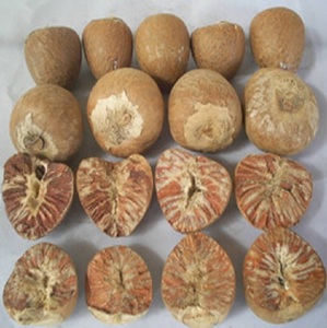 Noci di <span class=keywords><strong>Betel</strong></span> Intere Essiccate Marroni di Alta Qualità, Noci Areca, Erba Singola in Confezione Max Bag, Tipo Grezzo, Noci di <span class=keywords><strong>Betel</strong></span> Indiane all'Ingrosso per Alimenti - Product Image 1