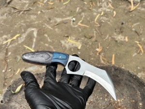 Cuchillo Karambit Hecho a Mano de Acero D2 de Grado Industrial con Mango de Madera Pakka para Combate y Camping, Personalizado OEM/ODM - Product Image 1