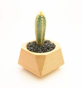 Fabricant de confiance, jardinière d'intérieur moderne en bois massif carrée pour la décoration du salon, du bureau, de l'hôtel avec doublure imperméable - Product Image 5