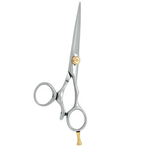 Ciseaux de Barbier Professionnels en Acier Inoxydable Argent et Or pour Coiffure, Ciseaux de Coupe de Cheveux Affûtés pour Salon, Droitiers, Taille Moyenne - Product Image 6