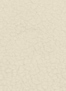 Nouveau design – Sweat à capuche zippé en polaire Teddy blanc personnalisé pour femme, 100 % coton écologique, léger, anti-plis, idéal pour l'hiver et le streetwear - Product Image 6