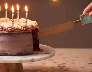 Designer Resin Handle Cake Server Elegant Stainless Steel Cake Lifter For Wedding Birthday Party And Kitchen Serving - Product Image 5