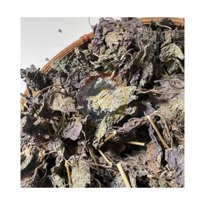 2026 TOP VENTAS Hoja de Perilla Morada en Flor para Cocina Asiática, Té Saludable, 100% Natural, Hoja de Shiso, Precio Mayorista Económico - Product Image 3