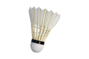 Volante de Bádminton Profesional RX Sports con Diseño de Logotipo Personalizado, 4.74g, para Bádminton y Deportes - Product Image 6