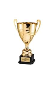 Ensemble de trophées en or et argent très demandés pour les compétitions multi-niveaux, disponibles à un prix avantageux - Product Image 2