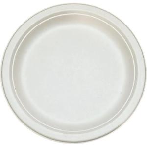 Platos de bagazo blancos premium, vajilla desechable de primera calidad para hoteles, restaurantes y servicio de alimentos, disponible en grandes cantidades. - Product Image 1