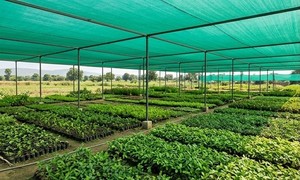 Red de sombra para toldos - Product Image 5