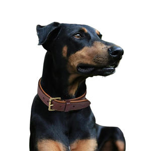 Cinturón de Levantamiento de Pesas de Cuero Ligero de Lujo, de Alta Calidad, Hecho a Medida, con Hebilla de Acero y Diseño Deportivo con Estampado Animal - Product Image 5