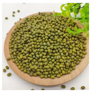 Fournisseur de haricots mungo verts de première qualité en vente à prix avantageux - Product Image 3
