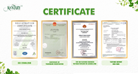 Citron vert frais et juteux sans pépins, emballé en vrac, conforme aux normes d'exportation élevées, approvisionnement premium 100% biologique en agrumes pour la cuisine, provenant du Vietnam