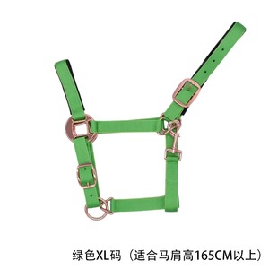 Horse <b>Halters</b> Nylon Traction Halter Green Handcrafted Horse Bridle Premium Leather Headstall Adjustable Design - Product Image 2