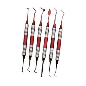 Ensemble d'instruments de restauration dentaire en acier inoxydable de haute qualité, certifiés CE, avec poignée ergonomique et emballage personnalisé, best-seller - Product Image 1