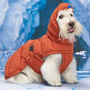 [MUNIKUND] Thermal Up Padding Air 2 Vegan Down Padded Dog Jacket Waterproof Winter Pet Coat for Cold Season - Product Image 2