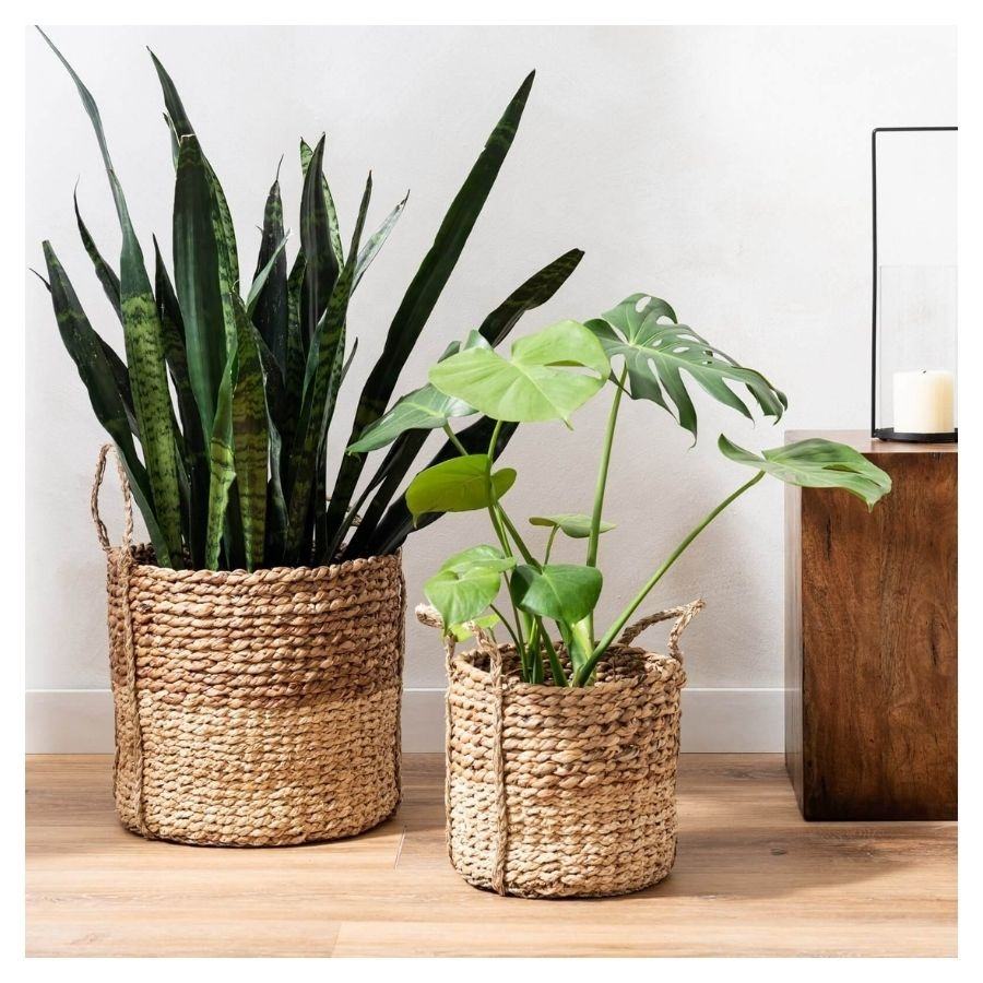 กำหนดเองตามคำขอ