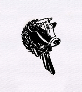 Écusson personnalisé brodé avec nom et logo pour chapeaux, sacs, sweats à capuche, sacs à dos et vêtements promotionnels - Product Image 6