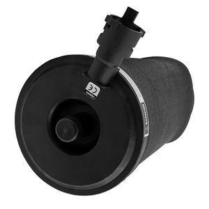 Ammortizzatore Posteriore ad Aria con Molla per Lincoln Town Car 1990-2011, 1X 3U2Z5580BA, Nuovo in Acciaio e Gomma, Sospensione Anteriore per Abarth - Product Image 2