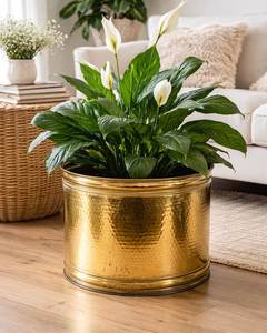 Macetero Moderno de Metal Gris con Soporte Dorado, Maceta Decorativa para Interiores, Decoración para el Hogar - Product Image 6