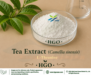 Suministro Directo de Fábrica HGO de Extracto de Té Puro Natural (Camellia sinensis) Grado Alimenticio L-Teanina 98% Extracto Estandarizado - Product Image 1