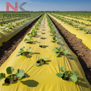 Toile de paillage écologique pour la culture de légumes, fruits et fleurs, toile de paillage pour la protection du sol dans les champs agricoles - Product Image 4