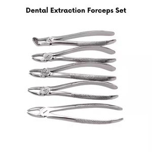 High-quality Dental Extraction Forceps Adult Size Stainless Steel Ergonomic Grip Class I General Surgical Instrument By Dentavex - Product Image 6