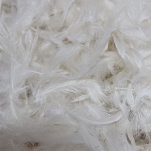 Plumes de canard teintées de qualité supérieure pour l'artisanat, les costumes, la chapellerie et les applications décoratives - Product Image 3