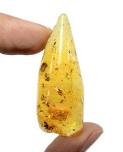 Gema de Ámbar Báltico Natural de 63 Quilates, Fósil de Hormigas e Insectos, Piedra Suelta para Joyería, 60x24x12mm - Product Image 2