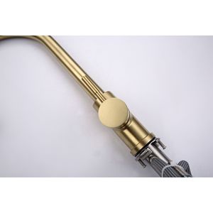 Rubinetto da Cucina Estraibile con Spruzzatore - Product Image 3